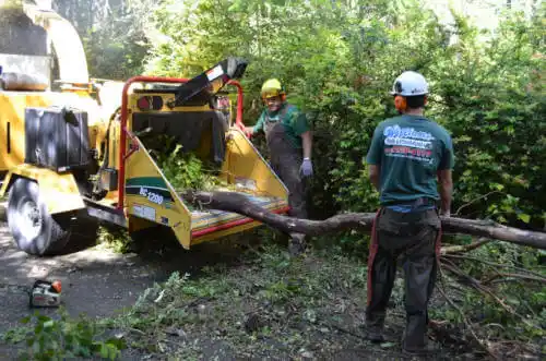 tree services Middlebury